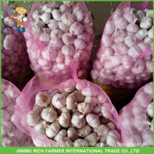 High Quality Best Price 5.0CM Fresh Garlic Bulk Packing In 20KG/ Mesh Bag